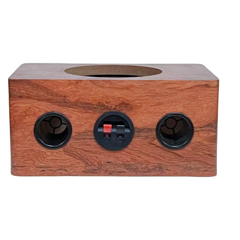 Musical Instrument Family - Speaker Plafon Ultra-tipis Berdiameter 10 inci