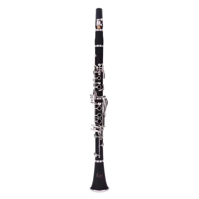 Musical Instrument Manufacturers - Langsung dari pabrik: Klarinet ABS 17-kunci