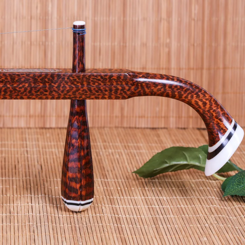 Erhu Profesional Biola Dua Sen - Erhu Violin Chinese ulasan dan harga