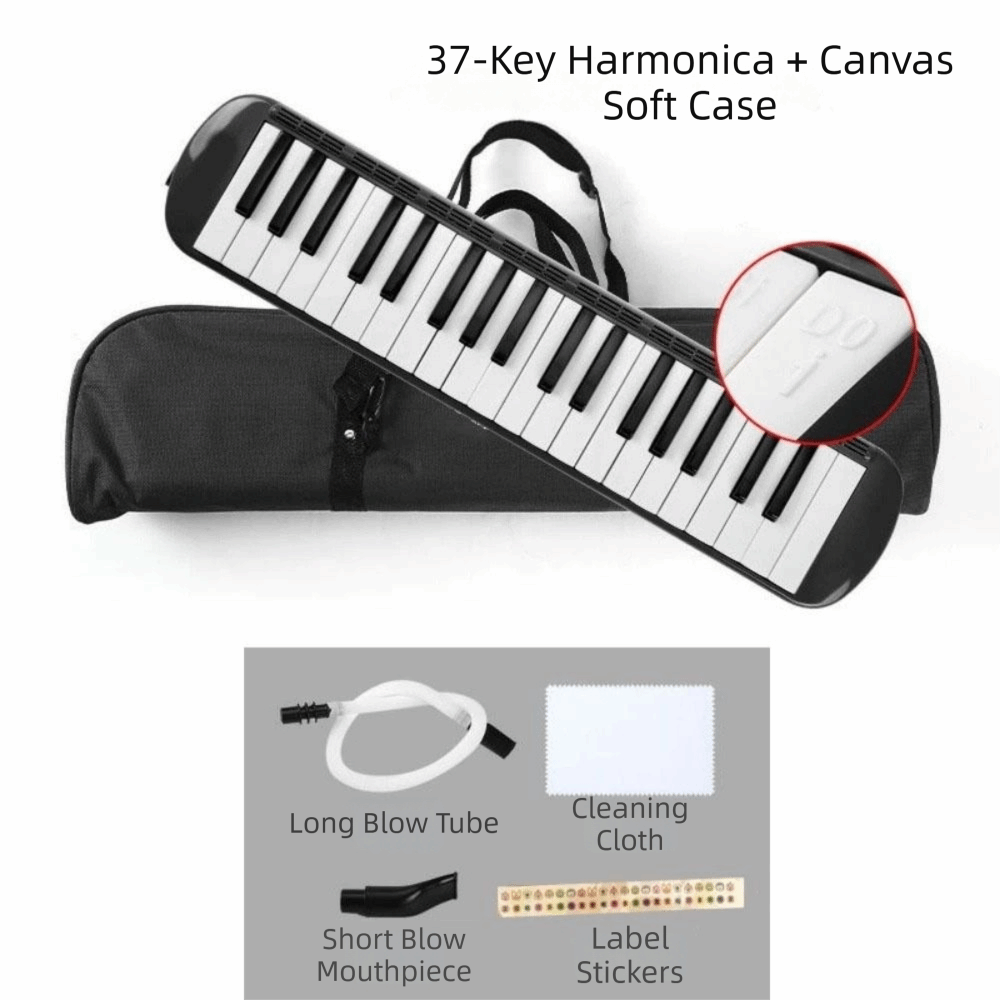 37 Kunci Instrumen Melodica Be - Musical Instrument Melodica ulasan dan harga