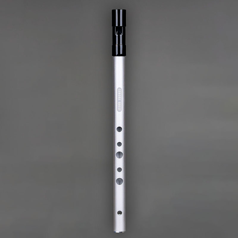 Peluit Penny 6 Lubang Kunci D, - Penny Whistle D ulasan dan harga