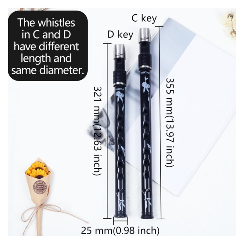 ABLB-6 Holes Irish Tin Penny W - Penny Whistle D ulasan dan harga