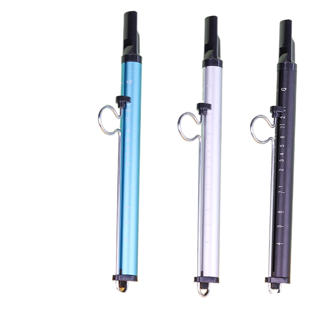 Alat Musik Peluit Geser Mainan - Musical Instrument Piccolo ulasan dan harga