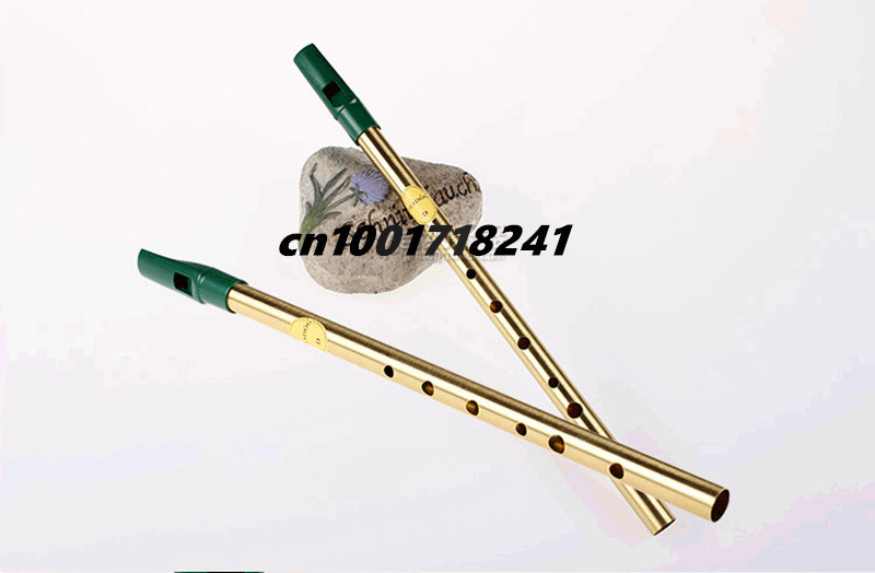 Kuningan Irlandia Peluit Flute - Penny Whistle D ulasan dan harga