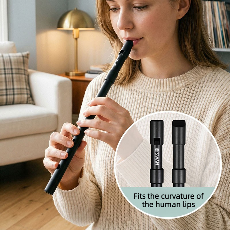 Peluit Kuningan Kunci C/D untu - Penny Whistle D ulasan dan harga
