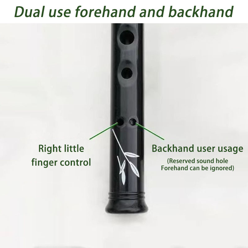 D/C Key Resin Penny Whistle De - Penny Whistle D ulasan dan harga