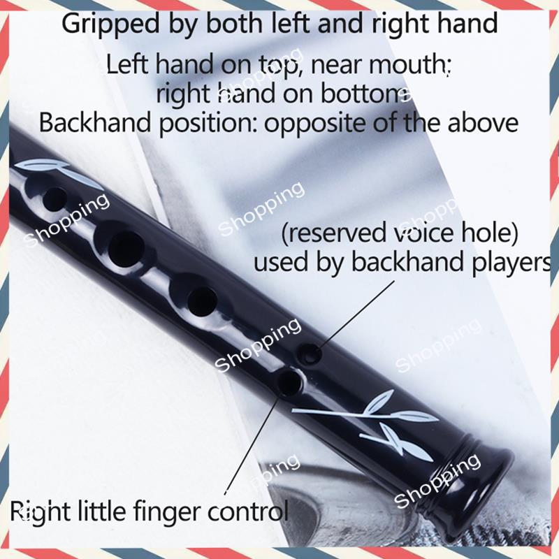 A44M 6 Lubang Peluit Penny Tim - Penny Whistle D ulasan dan harga