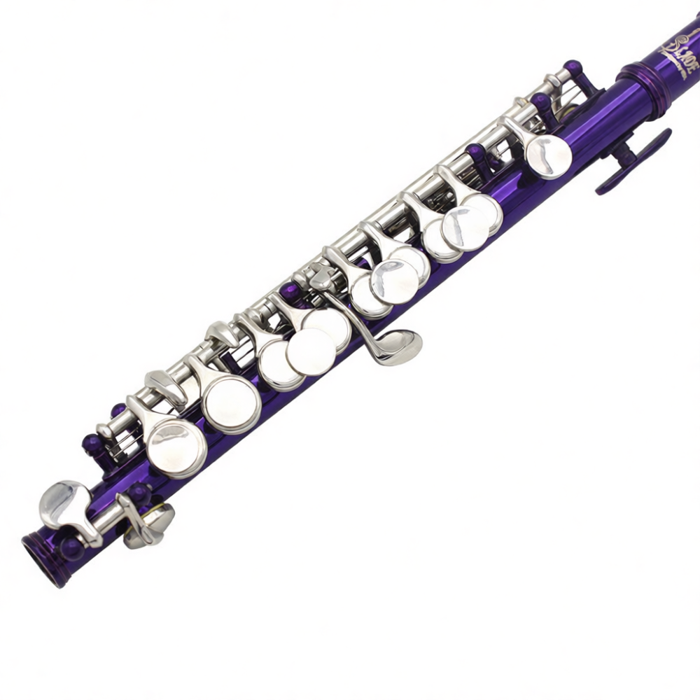 Piccolo Profesional C Key Berb - Musical Instrument Piccolo ulasan dan harga